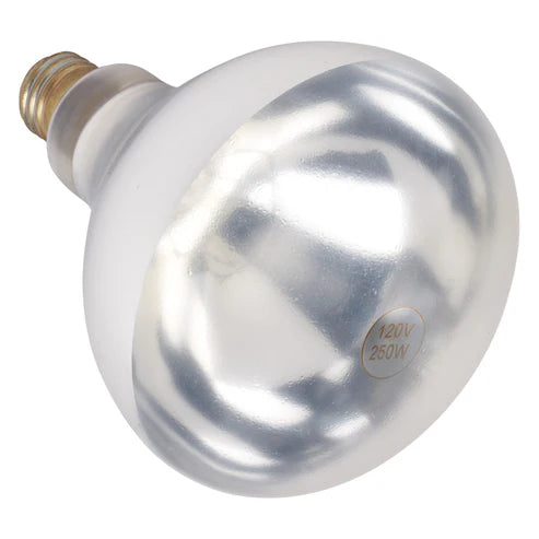 Winco EHL-BW Heat Lamp Bulb for EHL-2 - 250 watt, Clear