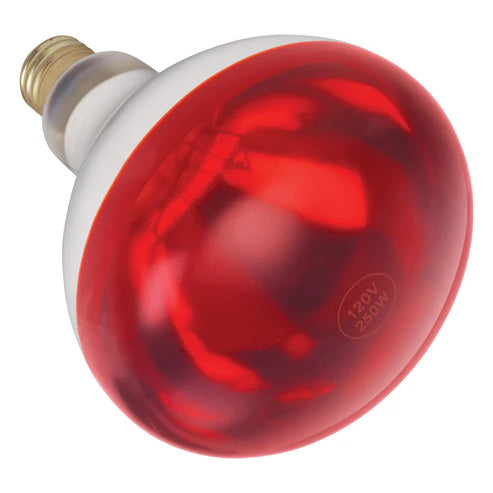 Winco EHL-BR Heat Lamp Bulb for EHL-2 - 250 watt, Red